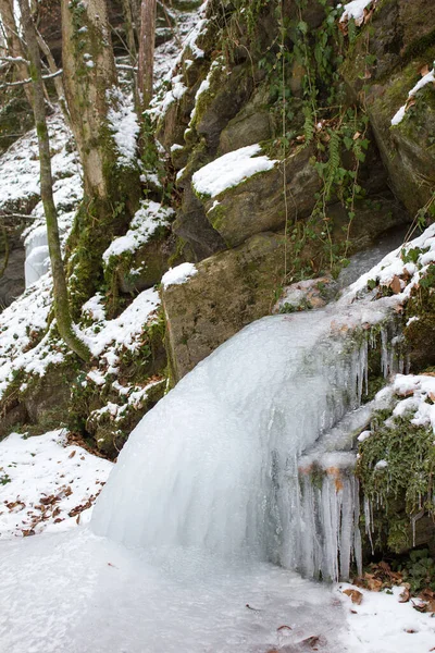 Gefrohrener Pequena Cachoeira Uma Reserva Natural Florestal Estíria — Fotografia de Stock