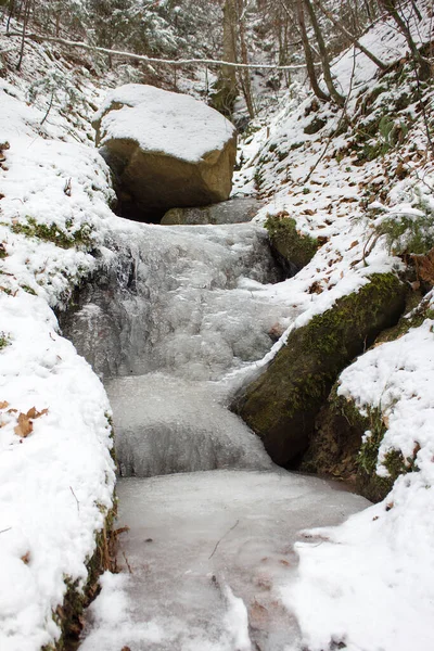 Petite Cascade Gefrohrener Dans Une Réserve Naturelle Forestière Styrie — Photo