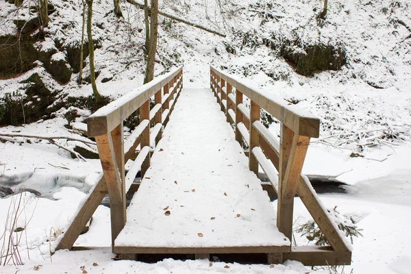 Bridge on hiking trail in winter covered with snow in a forest nature reserve in Styria