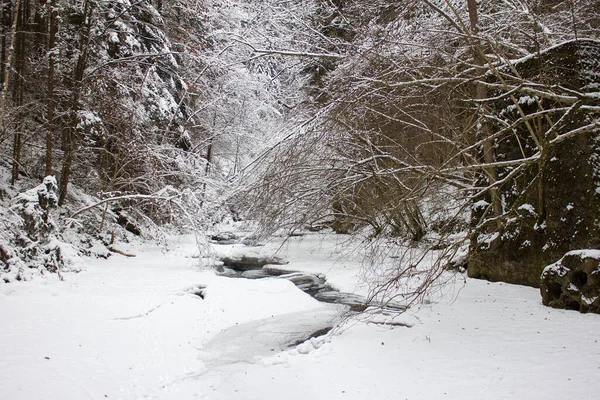 川の風景は スティリアの森林自然保護区で冬に雪と古い橋の柱とより陽気 — ストック写真
