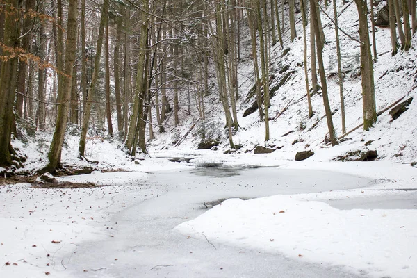 Folyami Táj Télen Havazással Örvendezett Egy Erdészeti Természetvédelmi Területen Stájerországban — Stock Fotó