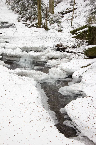 Paisagem Fluvial Regozijada Com Neve Inverno Uma Reserva Natural Florestal — Fotografia de Stock