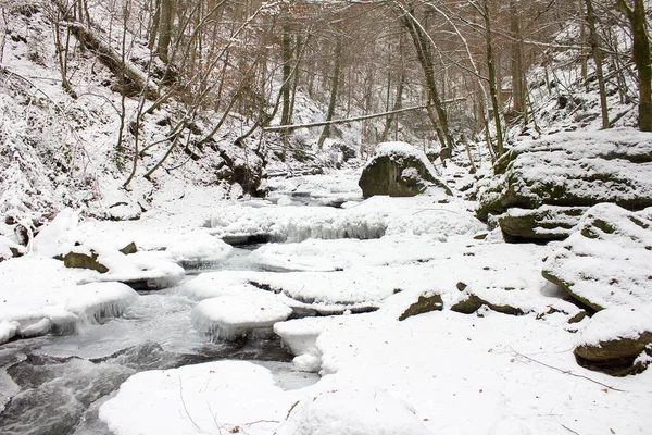 Folyami Táj Télen Havazással Örvendezett Egy Erdészeti Természetvédelmi Területen Stájerországban — Stock Fotó