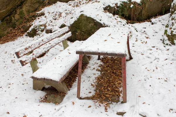 Banco Invierno Cubierto Nieve Una Reserva Natural Forestal Estiria — Foto de Stock