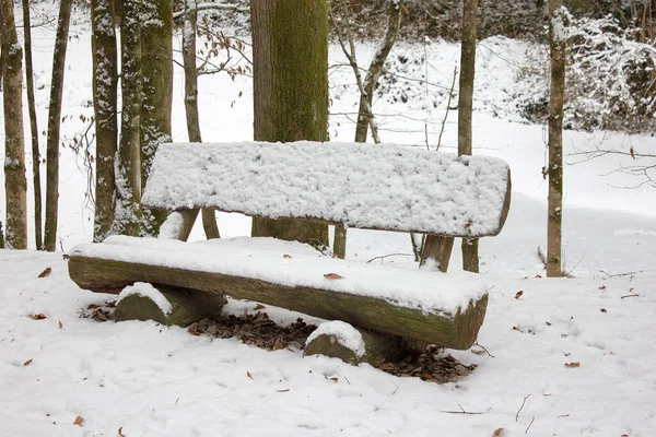 Lavička Zimě Pokrytá Sněhem Lesní Přírodní Rezervaci Štýrsku — Stock fotografie