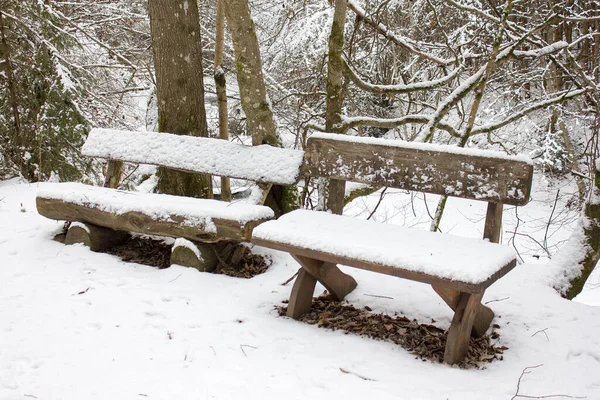 Bancos Inverno Cobertos Neve Uma Reserva Natural Florestal Estíria — Fotografia de Stock