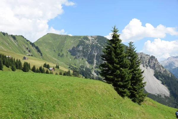 Faschinajoch Faschina Joch Bregenzerwald Bregenzerwaldgebirge Berg Berge Alpen Vorarlberg Österreich — Stockfoto