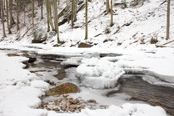 Paisagem Fluvial Regozijada Com Neve Inverno Uma Reserva Natural Florestal — Fotografia de Stock