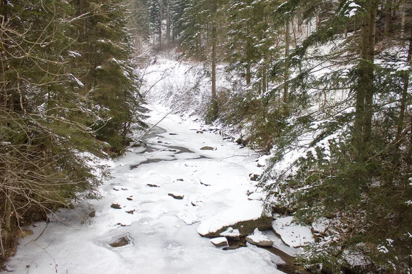 Paisagem Fluvial Regozijada Com Neve Inverno Uma Reserva Natural Florestal — Fotografia de Stock