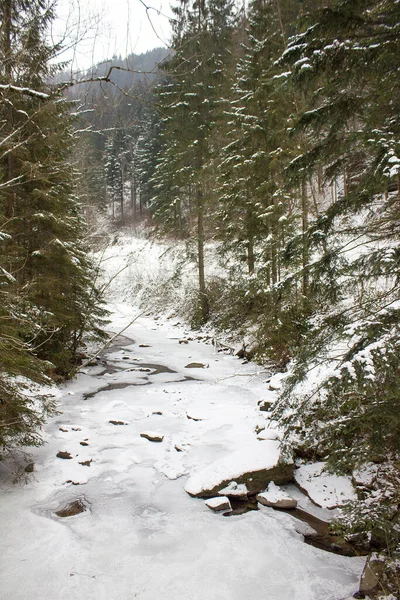 施蒂里亚森林自然保护区冬季白雪连绵的河流景观 — 图库照片