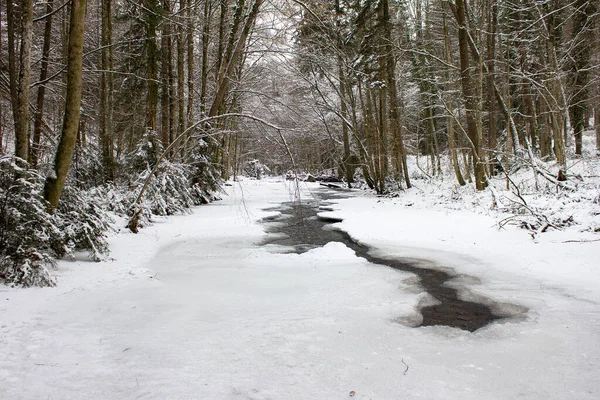 Paisaje Fluvial Regocijado Con Nieve Invierno Una Reserva Natural Forestal —  Fotos de Stock