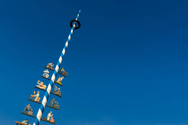 Árbol Mayo Frente Cielo Azul —  Fotos de Stock