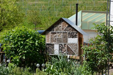 Bee hotel,nature reserve,wall bee,wall bees,species protection,bee,bee,insect,insect hotel clipart