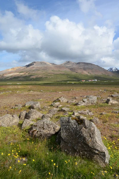 Manzara Stykkisholmur Zlanda Vesturland Snaefellsnes Dağ Dağlar Doğa Bataklık Dağlar — Stok fotoğraf