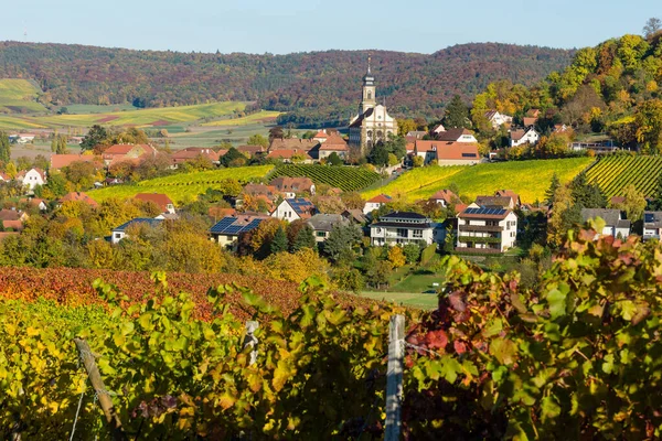 Agriculture Autumn Vineyards Cultivation Wine Floral Leaves — Stock Photo, Image