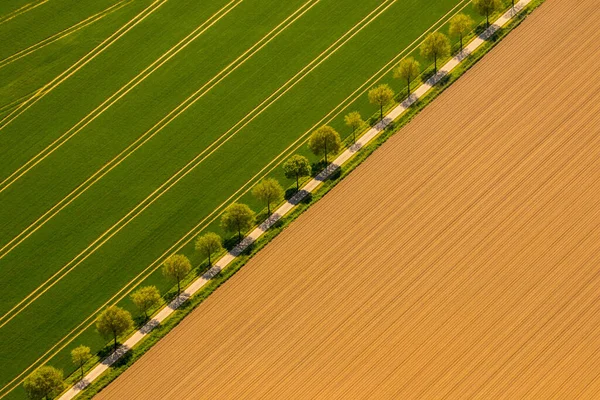 Landstraße Zwischen Zwei Feldern — Stockfoto