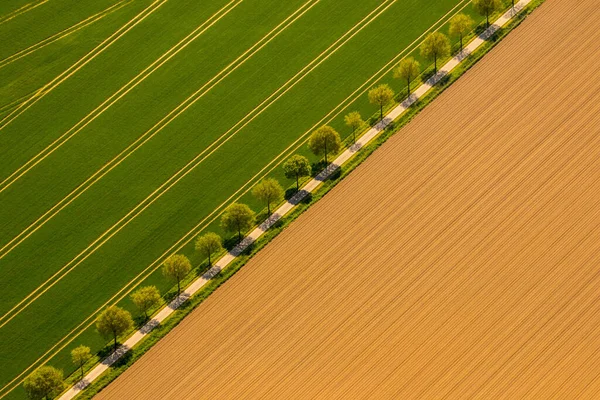 Landweg Tussen Twee Velden — Stockfoto