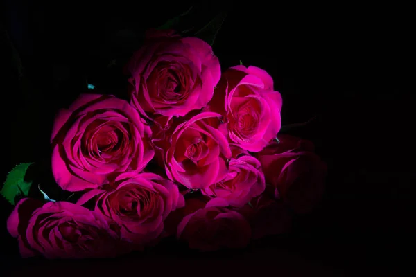 Květiny Růže Okvětní Lístky — Stock fotografie