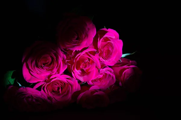 Květiny Růže Okvětní Lístky — Stock fotografie