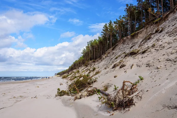 Miedzywodzie Beach Coast Dune Forest Storm Tracks Sky Sand Sea — стокове фото