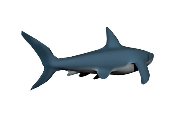 Shark Illustration Predatory Fish — Stock Photo, Image