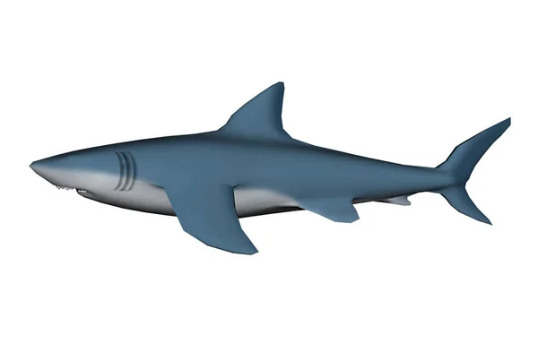 Ilustração Tubarão Peixes Predadores — Fotografia de Stock