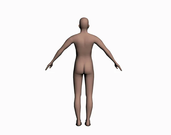 Render Male Body — Stock Photo, Image