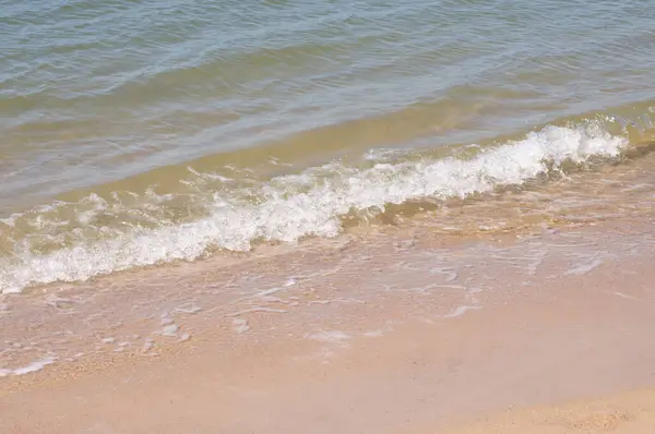 Písečná Pláž Pobřeží Severního Moře Slunečného Jarního Dne — Stock fotografie