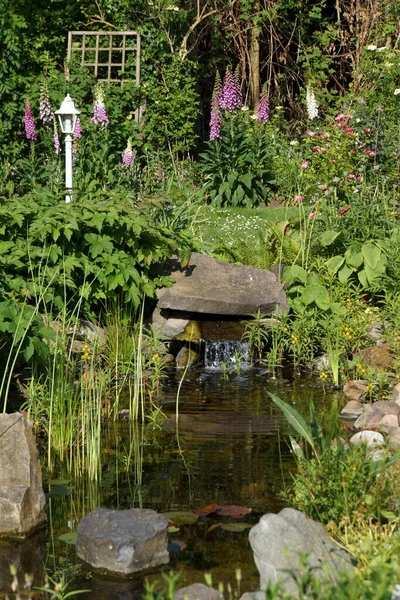 natural garden pond with small waterfall