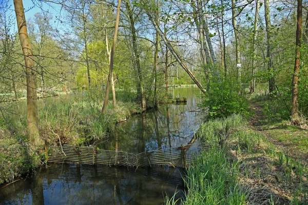 Krajobraz Rzekami Kanał Szprewaldzie Brandenburgia Niemcy — Zdjęcie stockowe
