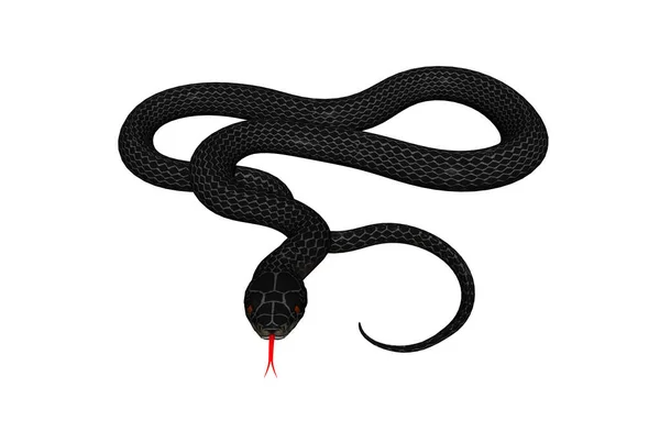 危险的蛇 食肉爬行动物 — 图库照片