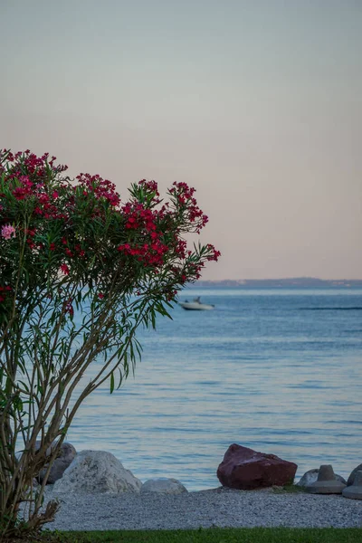 Garda Gölü Nde Yaz Tatili — Stok fotoğraf