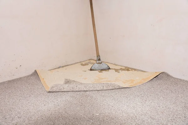 Replacing an old glued carpet with a scraper