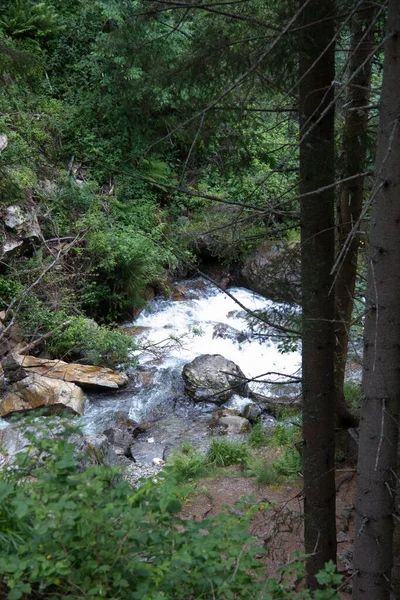 日中はスティリアの森の中の川 — ストック写真