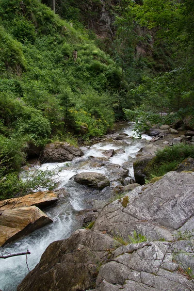 River Forest Styria Day — Stock Photo, Image