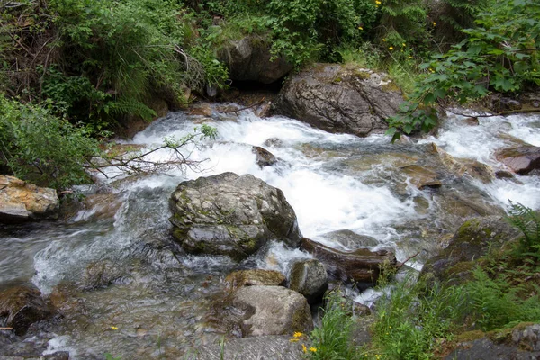 Rzeka Lesie Styrii Ciągu Dnia — Zdjęcie stockowe