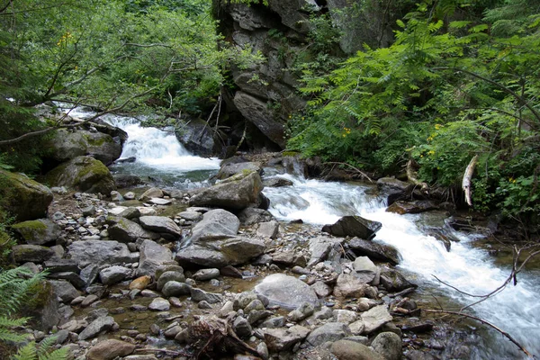 Rzeka Lesie Styrii Ciągu Dnia — Zdjęcie stockowe
