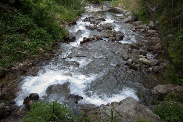Řeka Lese Štýrsku Během Dne — Stock fotografie