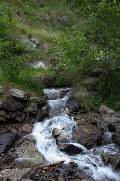 Fluss Einem Wald Der Steiermark Tagsüber — Stockfoto