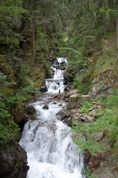 Malý Vodopád Lese Štýrsku Během Dne — Stock fotografie