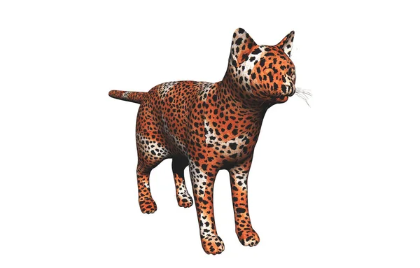Leopardo Estudio — Foto de Stock