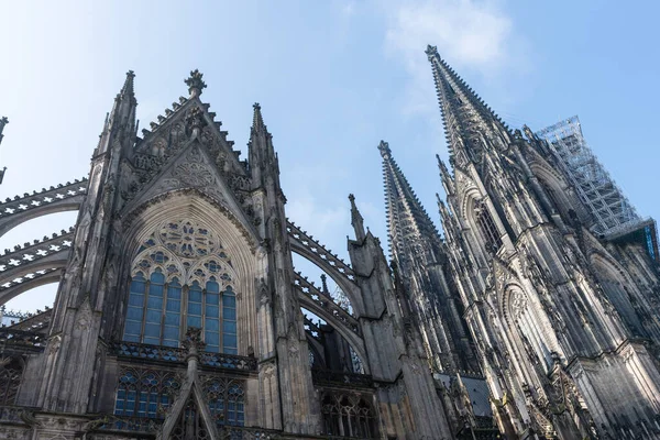 Köln Katedrális Előtt Kék Fehér — Stock Fotó