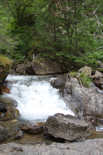 Small Waterfall Forest Styria Day Stock Picture