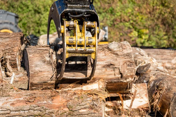 Gripper Crane Handling Tree Trunks Wood Processing — Stock Photo, Image