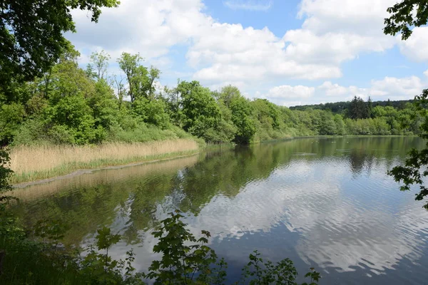 Dreifelder Weiher Westerwald Weiher See Teich Landschaft Wasser Natur Rheinland —  Fotos de Stock