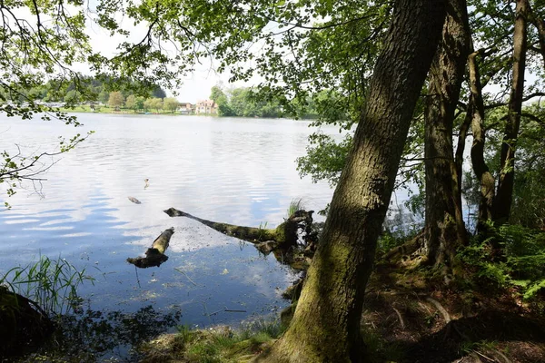 Dreifelder Weiher Westerwald Weiher See Teich Landschaft Wasser Natur Rheinland — Fotografia de Stock