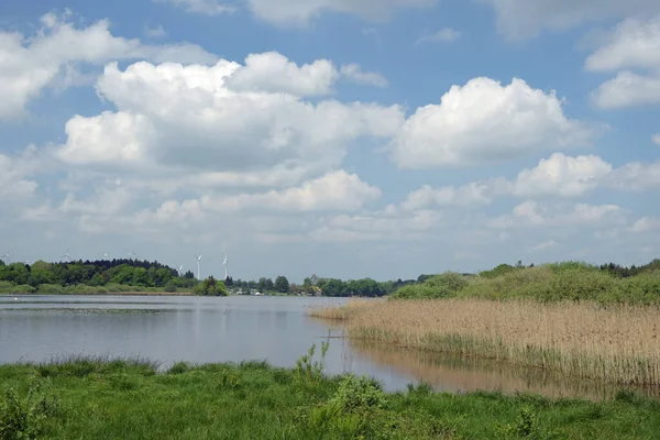 Hofmannsweiher Westerwald Weiher See Pond Landscape Water Nature Rhineland Palatinate —  Fotos de Stock