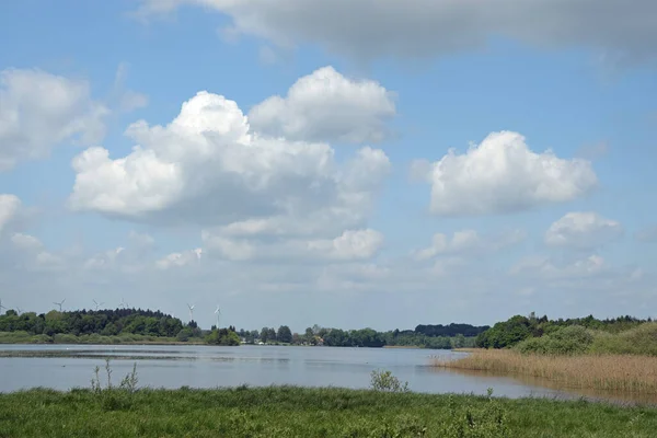 Dreifelder Weiher Westerwald Weiher See Teich Landschaft Wasser Natur Rheinland — Stockfoto