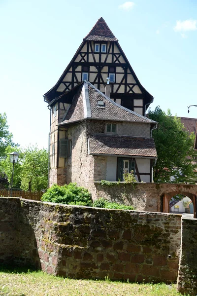 Burg Cantina Muro Cinta Edificio Michelstadt Odenwald Hessen Germania Centro — Foto Stock