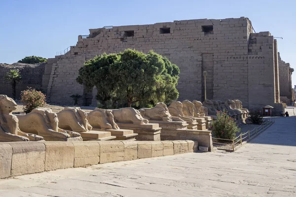 Luxor Thebes Oriente Templo Karnak — Fotografia de Stock